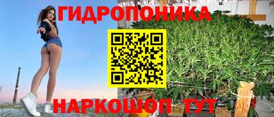 мяу мяу мука Гусев